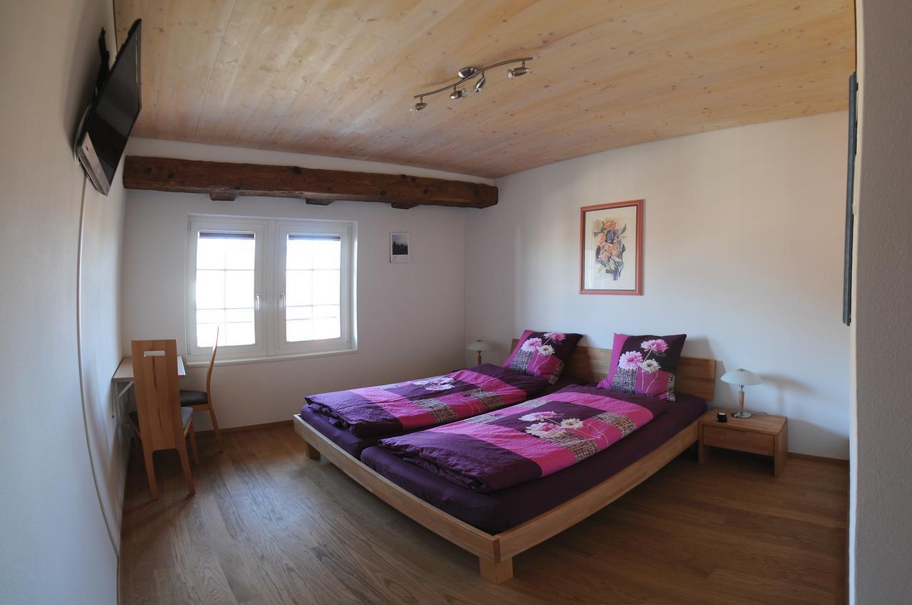 Bed And Breakfast Wegmann Andelfingen Kültér fotó