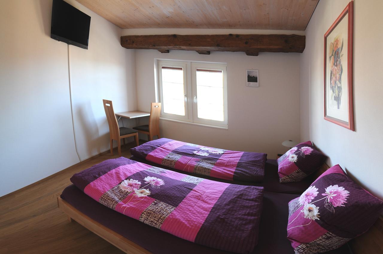 Bed And Breakfast Wegmann Andelfingen Kültér fotó