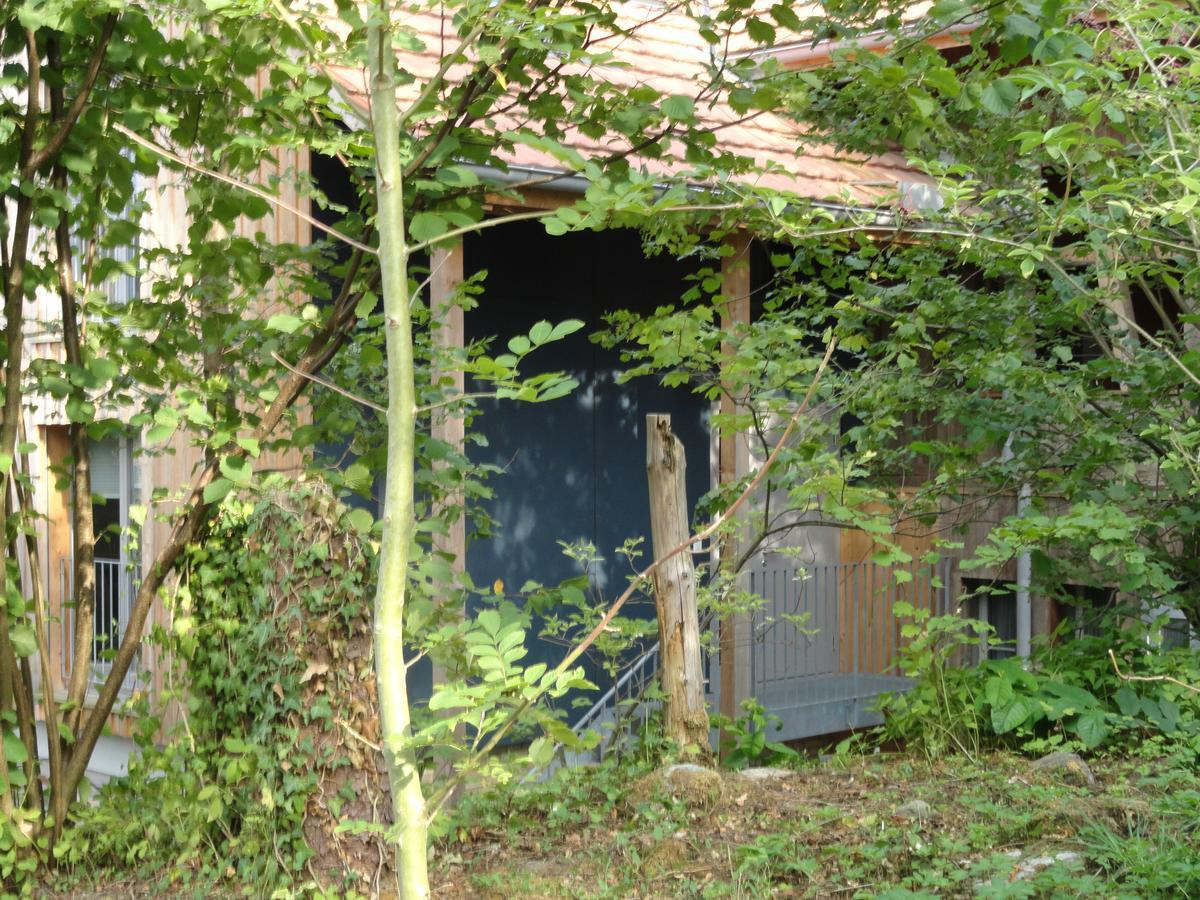 Bed And Breakfast Wegmann Andelfingen Kültér fotó
