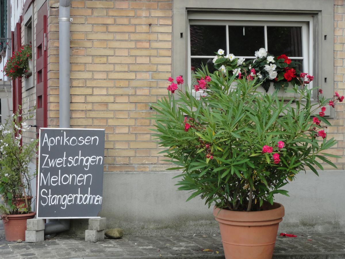 Bed And Breakfast Wegmann Andelfingen Kültér fotó