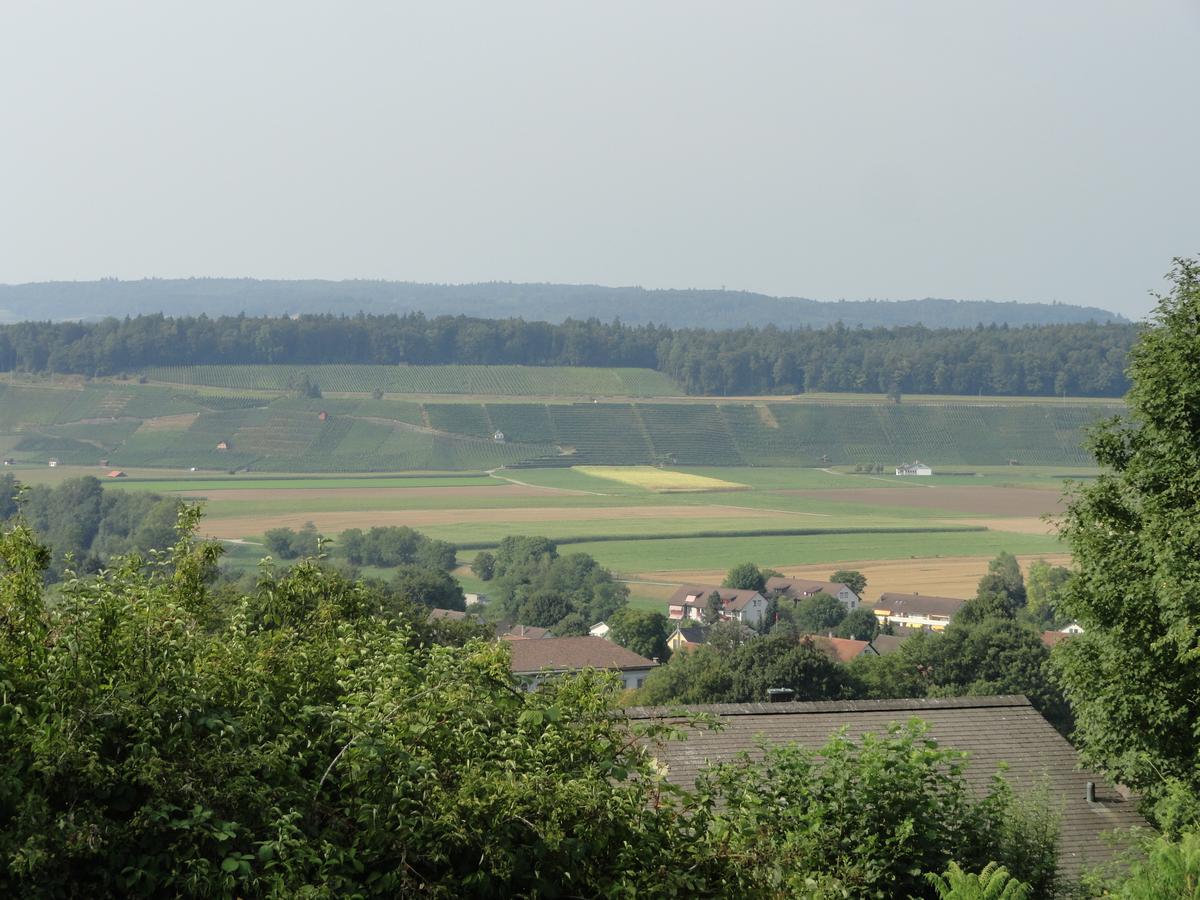 Bed And Breakfast Wegmann Andelfingen Kültér fotó